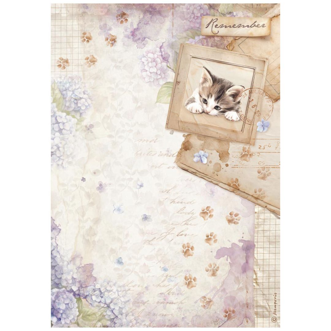 Papel de arroz A4 28gr Quiet Days - Kitten