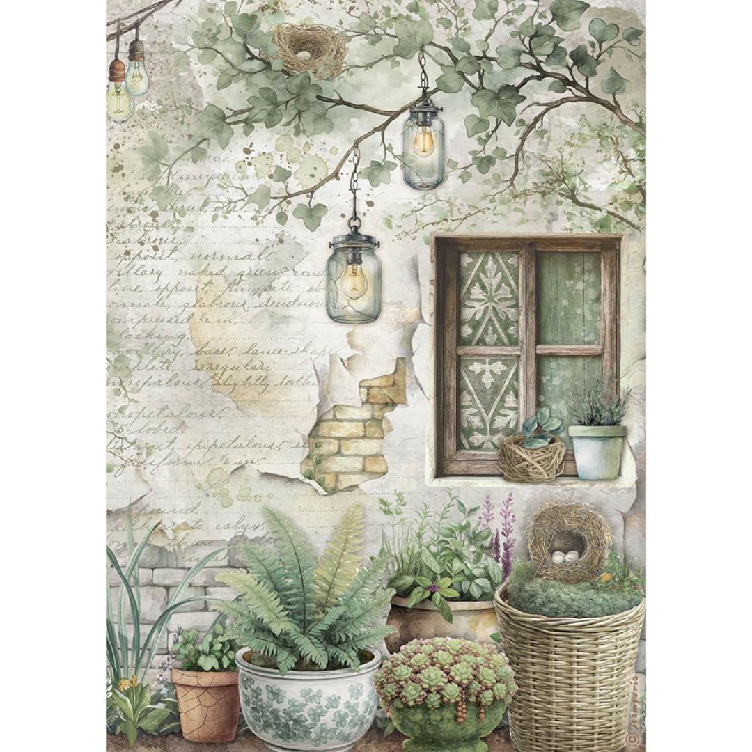 Papel de arroz A4 28gr Herbarium Silvae - Ventana