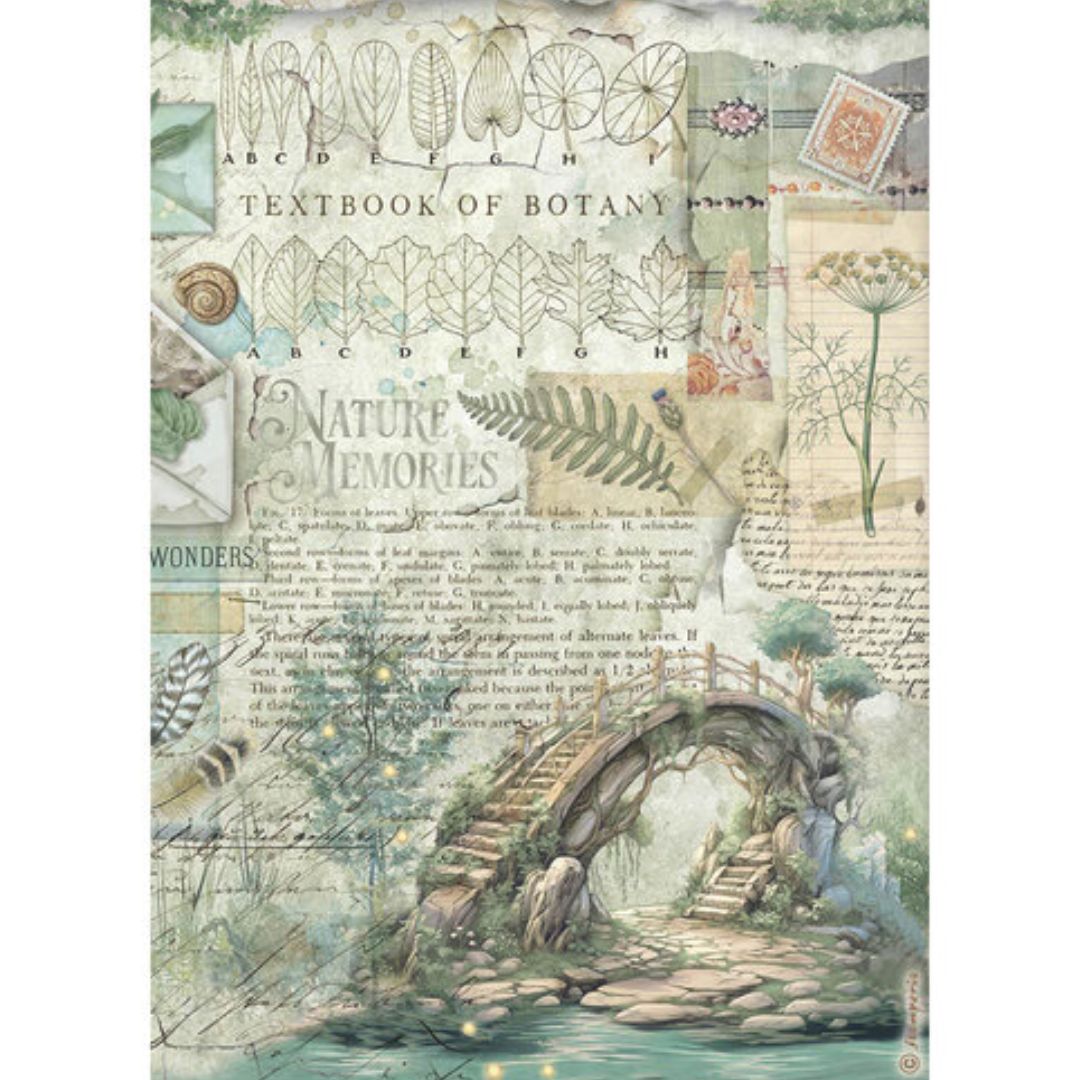 Papel de arroz A4 28gr Herbarium Silvae - Bridge