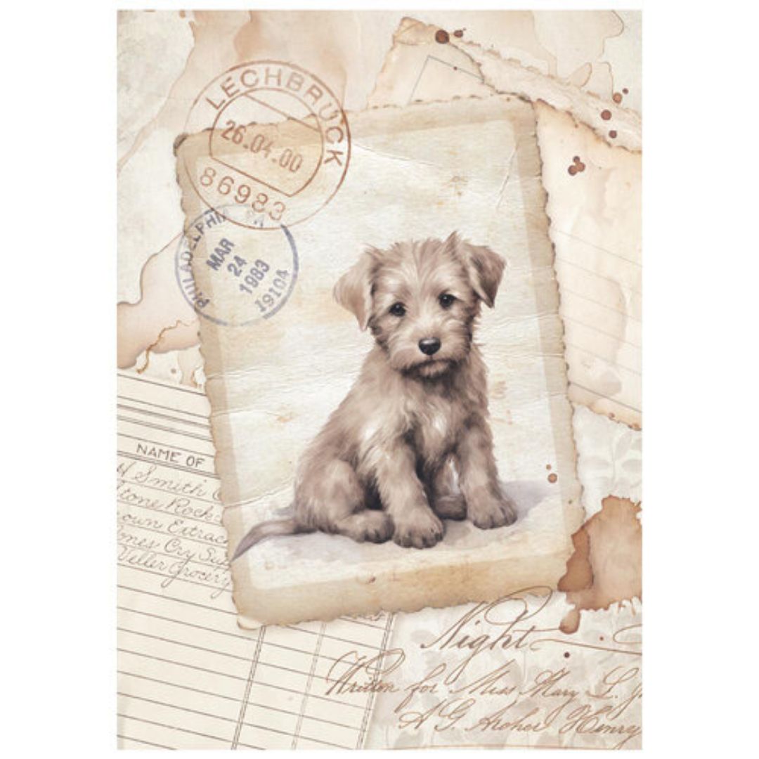 Set Mini Papel de arroz A6 8Hj 28gr Quiet Days - Surtido (vista 2)