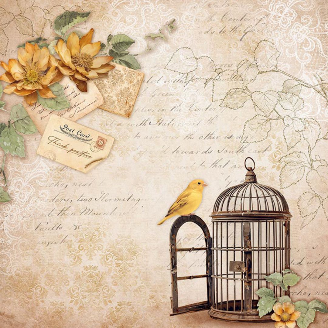 Block de Cartulinas ''Romantic Golden Harmony" de 20.3x20.3 cm - 22hj