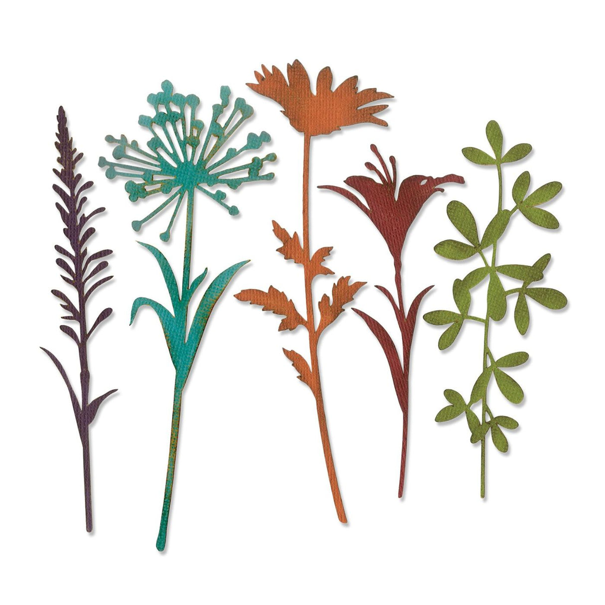 Troqueles Thinlits Tallos de flores silvestres #2 de Tim Holtz (vista 2)