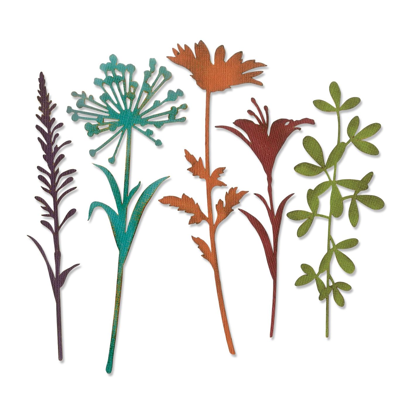 Troqueles Thinlits Tallos de flores silvestres #2 de Tim Holtz