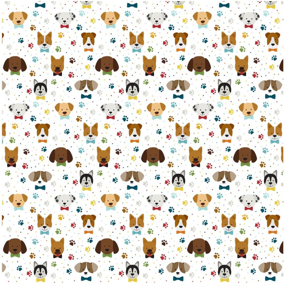 Pack de Cartulinas My Dog 30.48x30.48cm