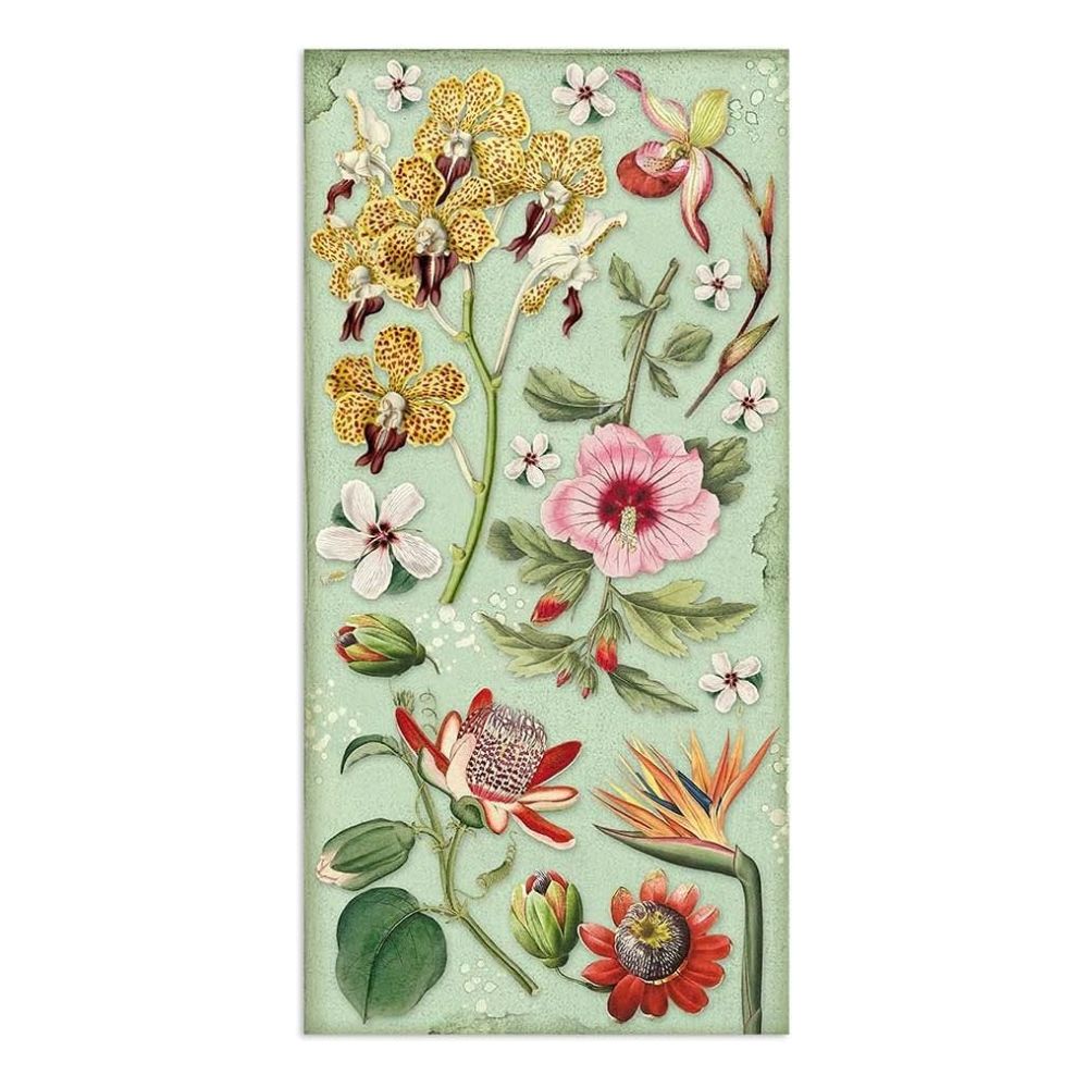 Collectables "Amazonas" de 15x30.5cm