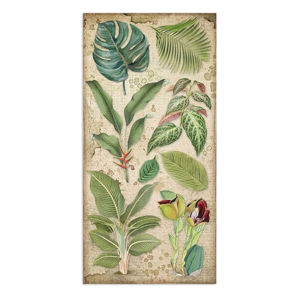 Collectables "Amazonas" de 15x30.5cm (vista 5)