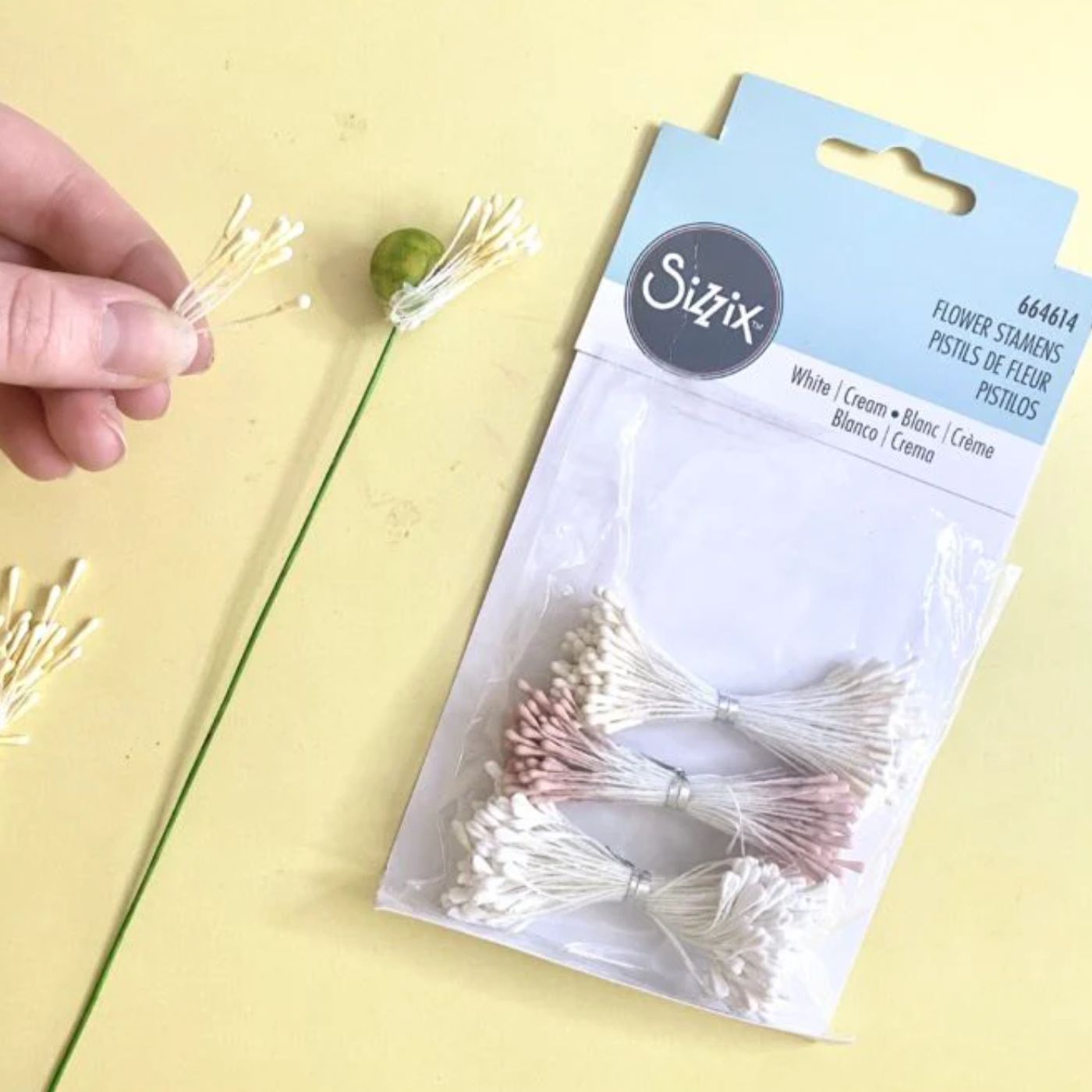 Estambre para flores Blanco/Crema Mate
