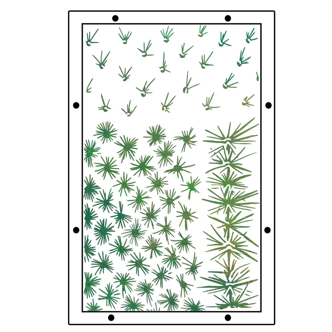 Studio Sellos Clear con Stencils A5 Western