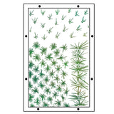Studio Sellos Clear con Stencils A5 Western (vista 4)