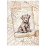 Set Mini Papel de arroz A6 8Hj 28gr Quiet Days - Surtido (vista 2)