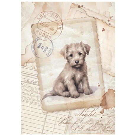 Set Mini Papel de arroz A6 8Hj 28gr Quiet Days - Surtido (vista 2)
