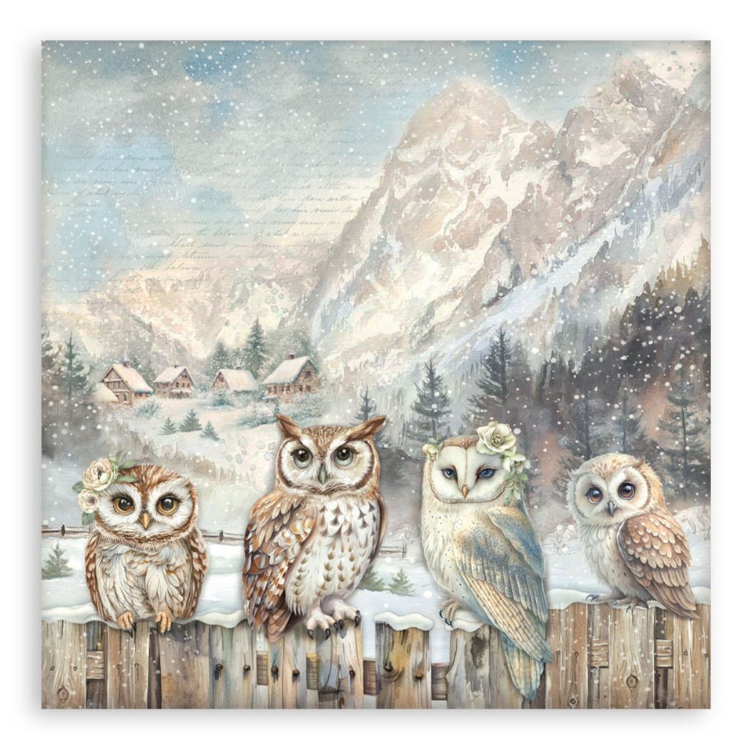Block de Cartulinas ''The Owl's House" de 30.5x30.5cm - 22Hj