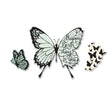 Troqueles Framelits con Sellos Butterfly Birthday