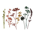 Troqueles Thinlits Flores silvestres de Tim Holtz