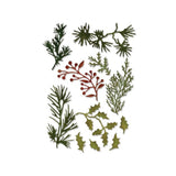 Troqueles Thinlits Tim Holtz Mini Holiday Greens - Navidad (vista 3)