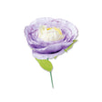 Troqueles Thinlits Flor de primavera