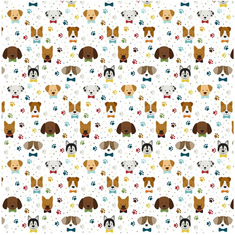 Pack de Cartulinas My Dog 30.48x30.48cm (vista 4)