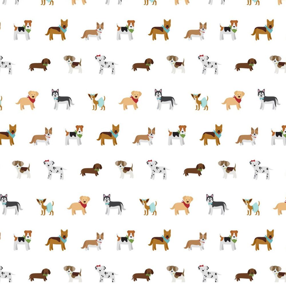 Pack de Cartulinas My Dog 30.48x30.48cm (vista 6)