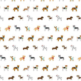 Pack de Cartulinas My Dog 30.48x30.48cm (vista 6)