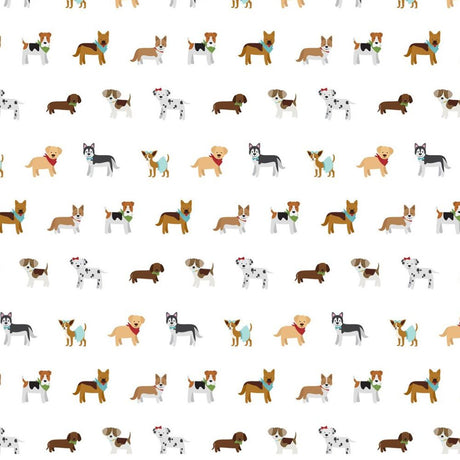 Pack de Cartulinas My Dog 30.48x30.48cm (vista 6)