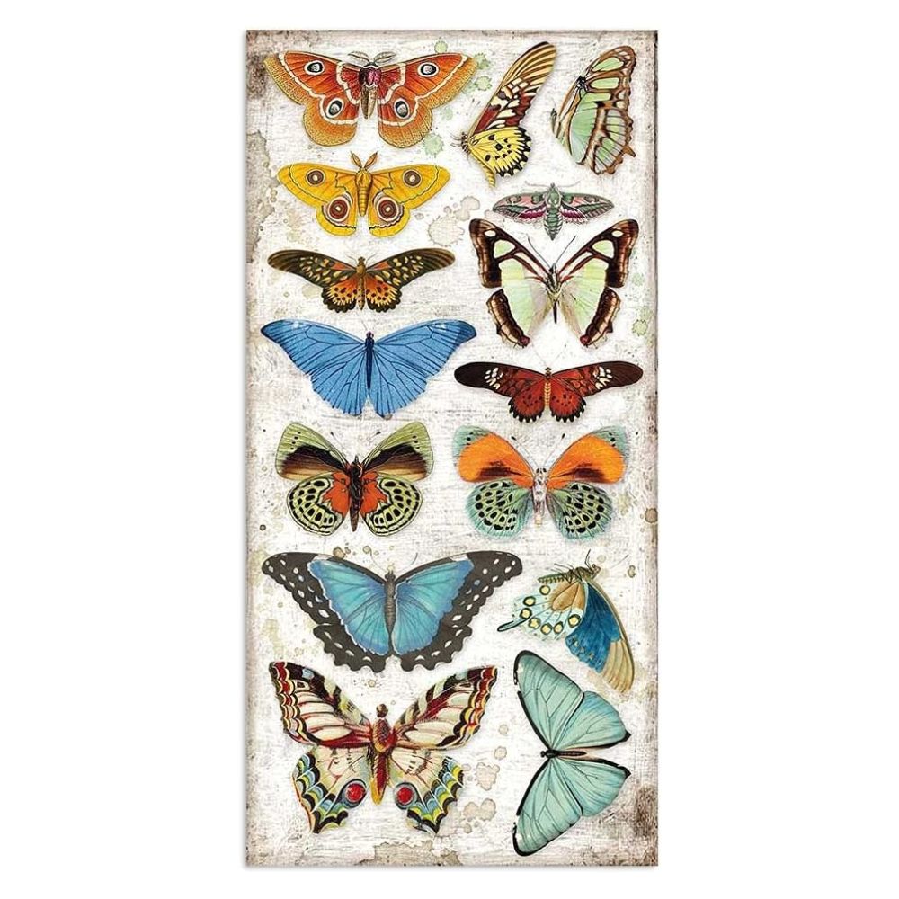 Collectables "Amazonas" de 15x30.5cm (vista 3)