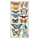 Collectables "Amazonas" de 15x30.5cm (vista 3)