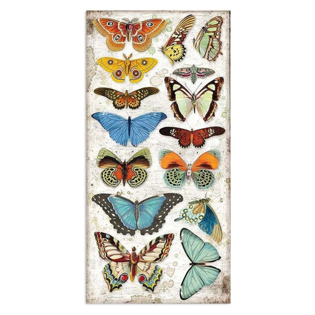 Collectables "Amazonas" de 15x30.5cm (vista 3)