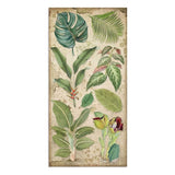Collectables "Amazonas" de 15x30.5cm (vista 5)